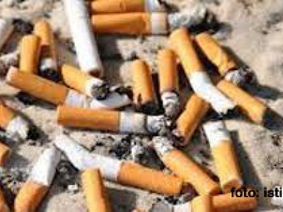 Cigarette Butts as Insecticide Ingredients for Vegetable Plants